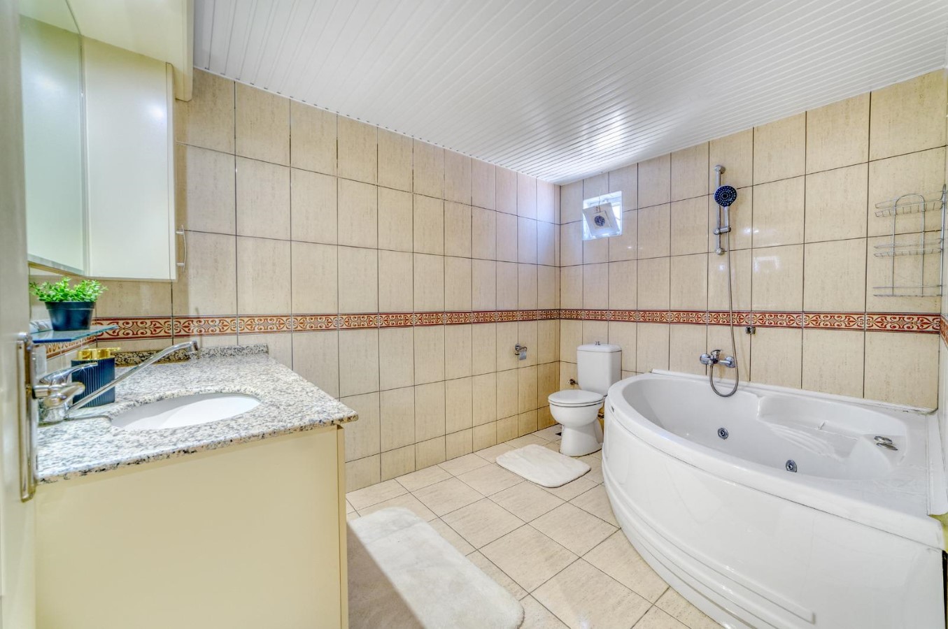 Oba Alanya Penthouse (10)